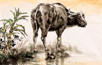 Hướng giường ngủ tuổi Ất Sửu 1985 là hướng nào?