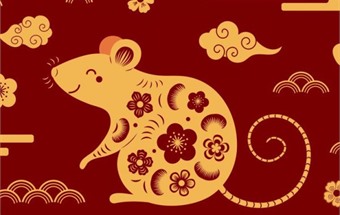 Phòng khách nên trồng và để cây phong thủy tuổi Tý như thế nào?