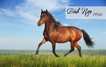 Chọn hướng bếp tuổi Bính Ngọ giúp gia chủ tiền vào như nước