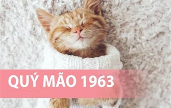 Phong thủy hướng bếp tuổi Quý Mão 1963 đem lại nhiều may mắn